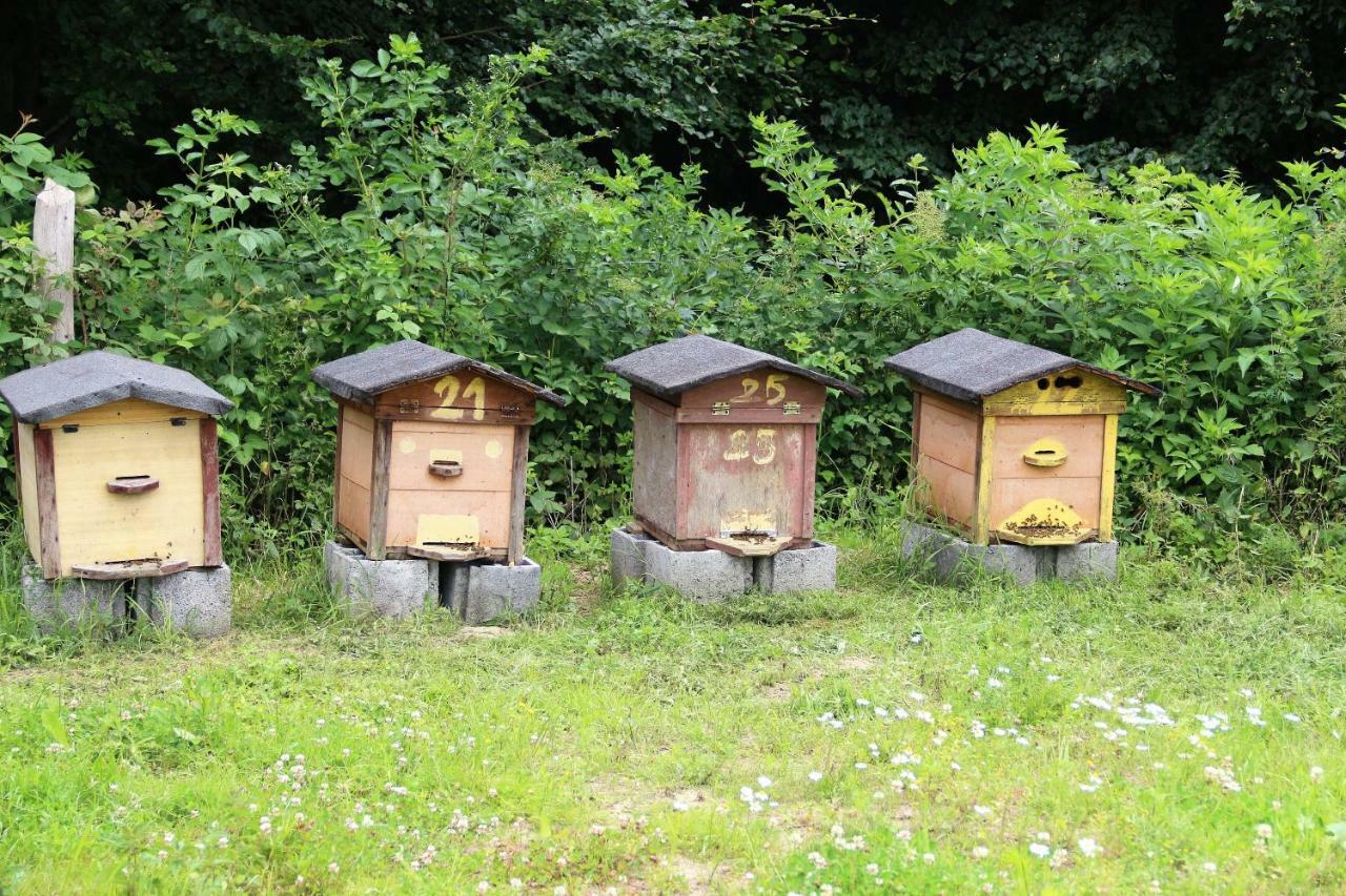 Kantonia Bobolice  Ngoại thất bức ảnh